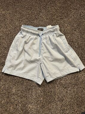 H&M Men’s Swim Trunks Small Light Blue Seersucker Swim Shorts